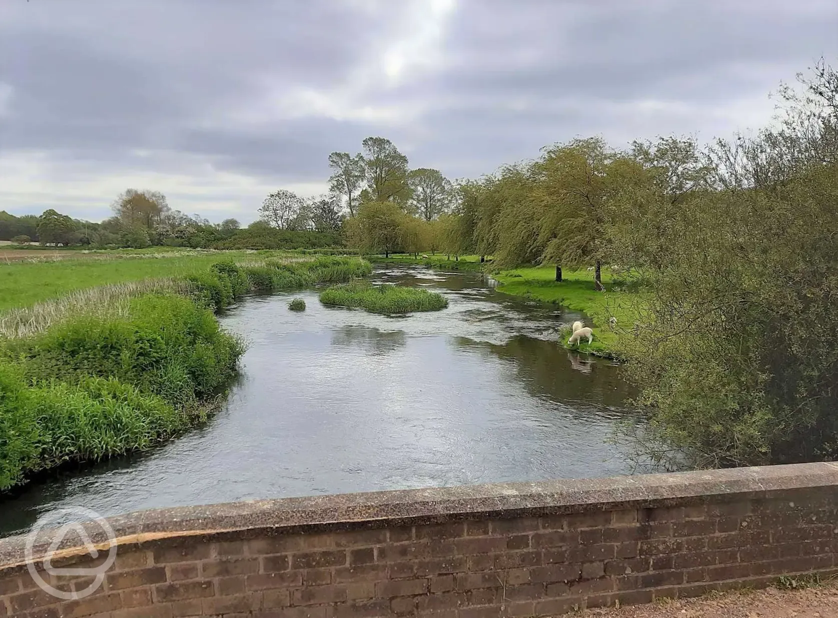 Nearby walk along the River Stour
