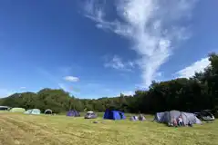 Non electric grass pitches for up to six people per pitch