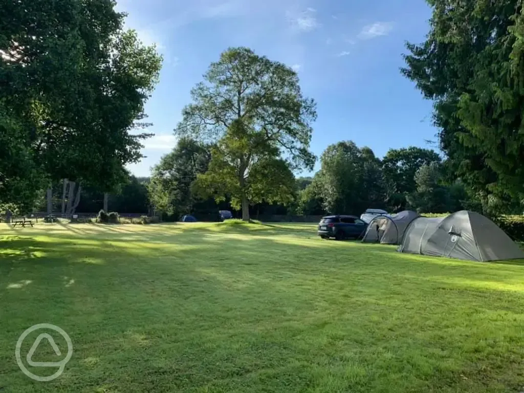 Grass tent pitches