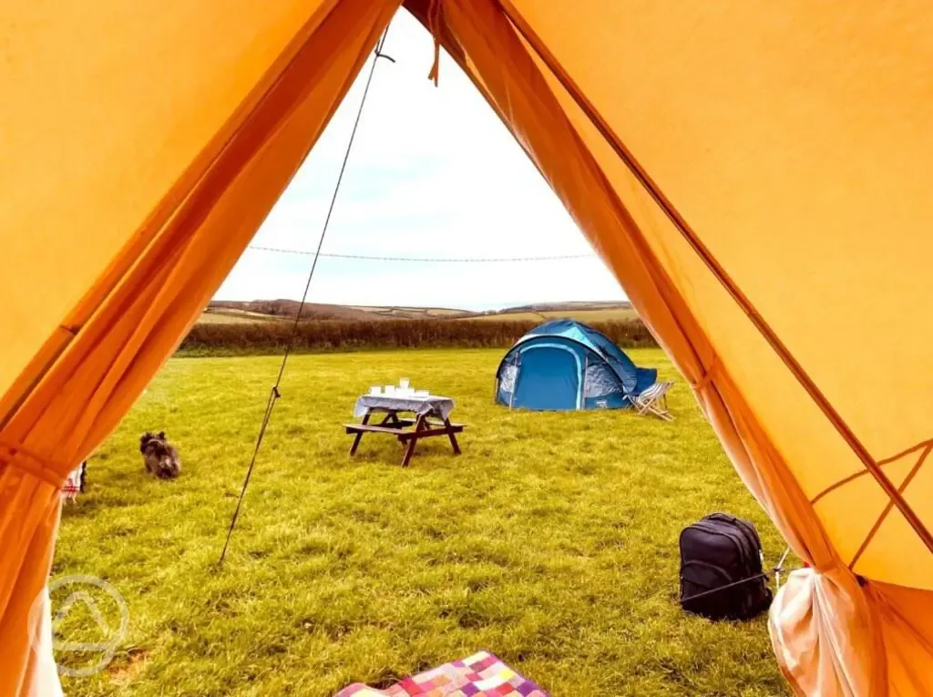 Bell tent view