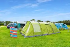 Large electric grass tent pitches Large electric grass tent pitches