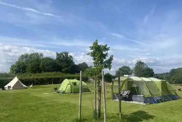 Non electric grass tent pitches