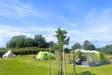 Non electric grass pitches for tent campers (4.6m x 4.6m) at Gatcombe Park Farm