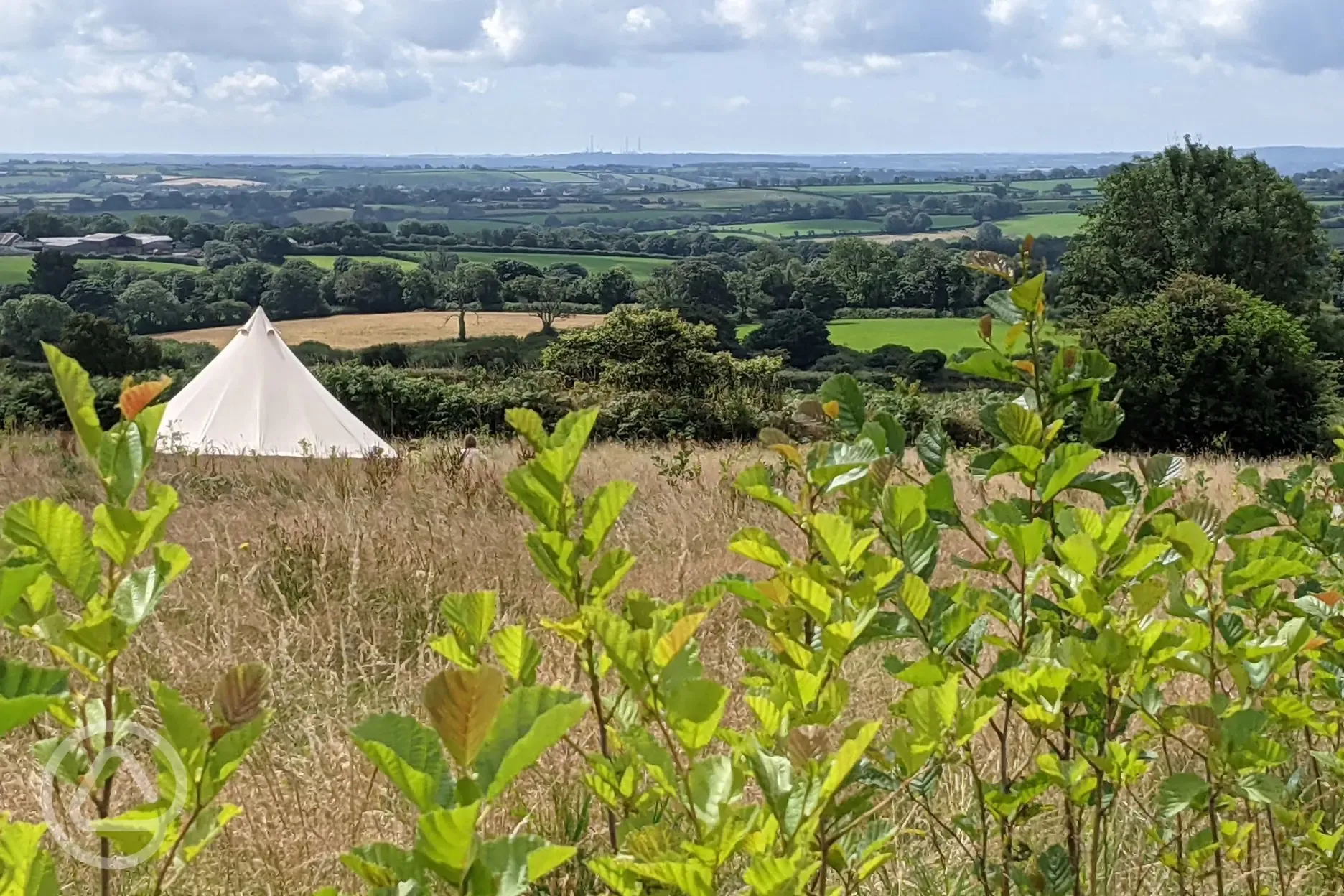 Field with bell tent