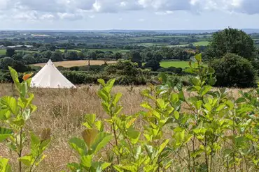 Field with bell tent