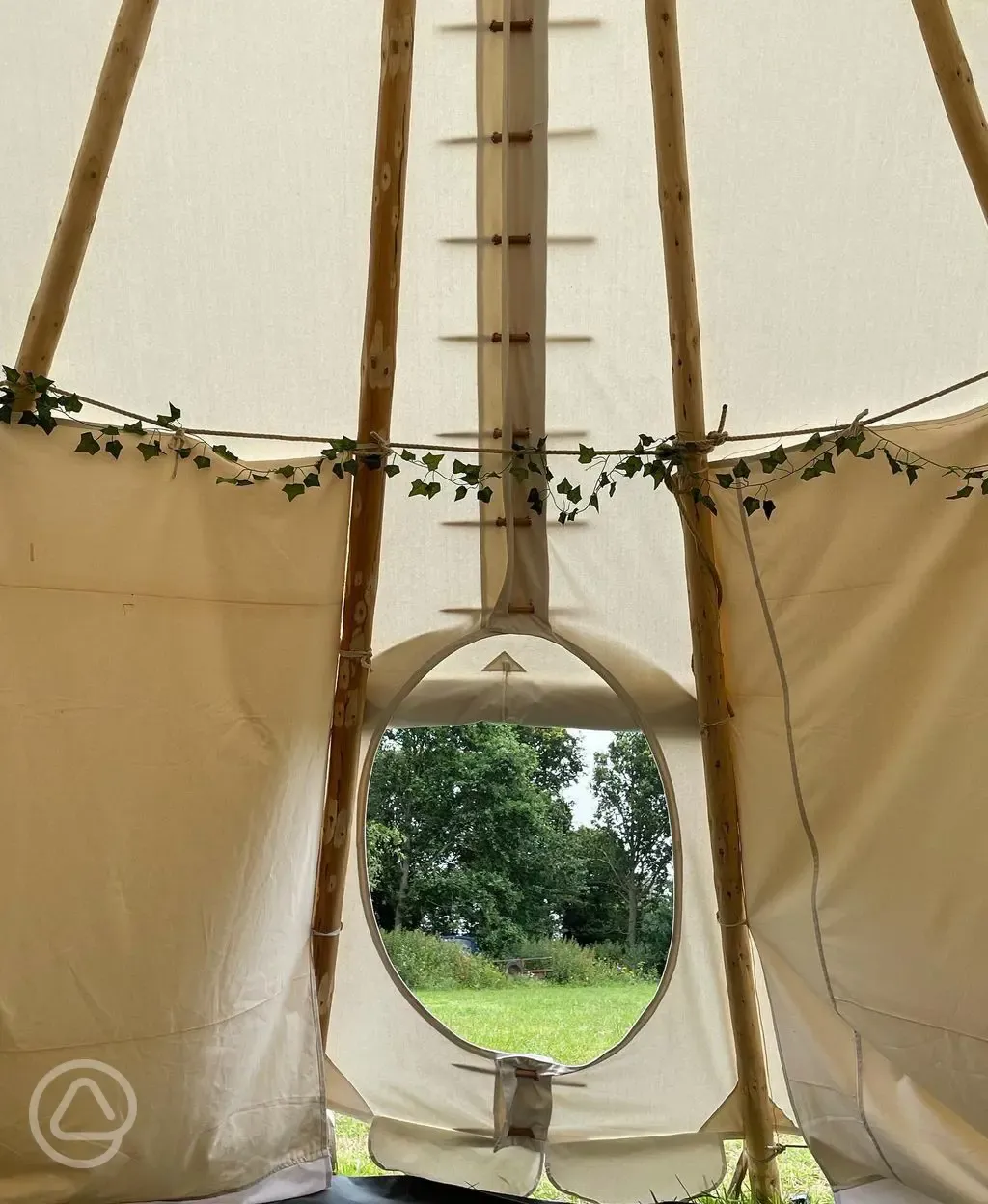 View from inside the Tipi 