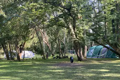 Seven Acre Woods