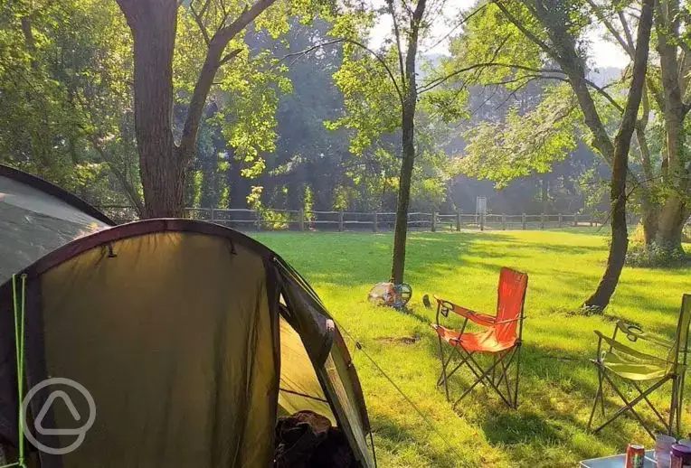 Camping electric grass pitches with fire pit