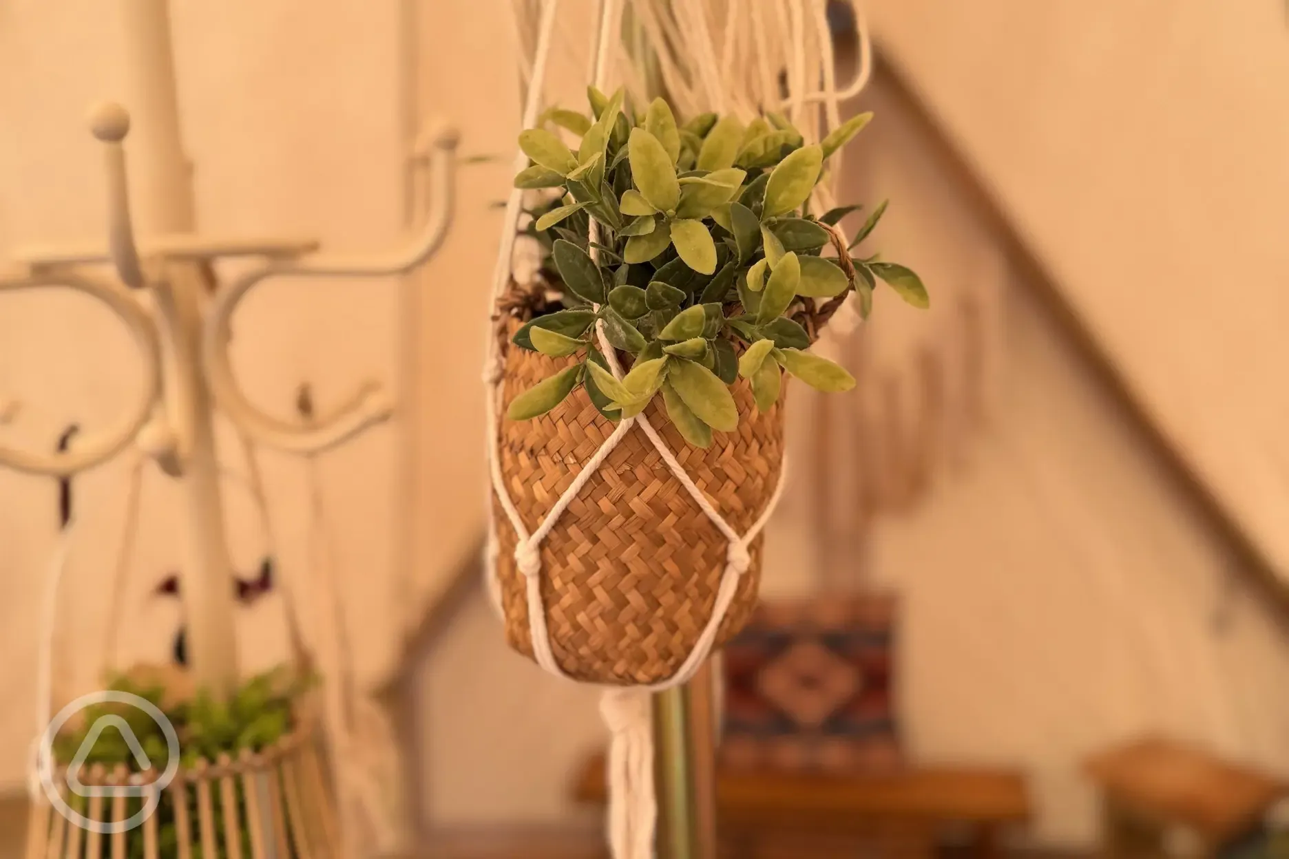 The Mole Hill bell tent interior