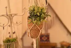 The Mole Hill interior 