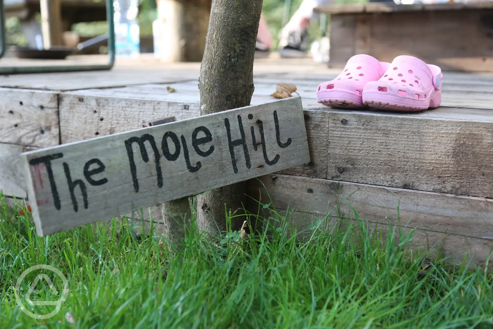 The Mole Hill 