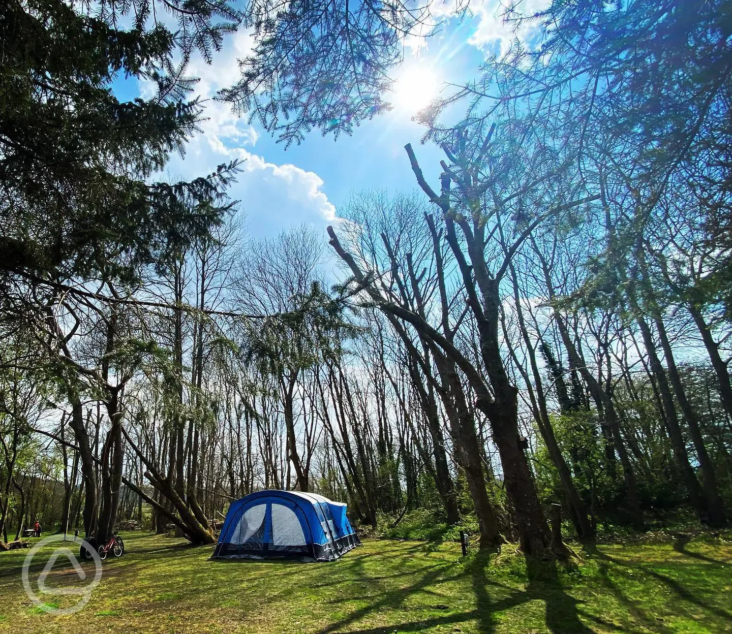 Camping electric grass pitches with fire-pit