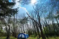 Camping electric grass pitches with fire-pit Camping electric grass pitches with fire-pit