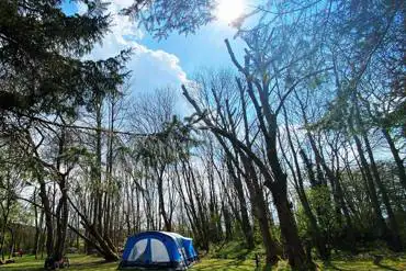 Camping electric grass pitches with fire-pit