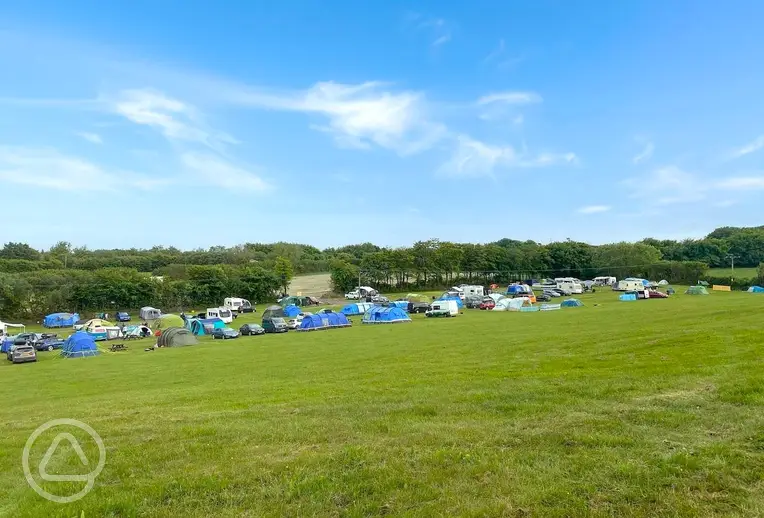 Camping field at Long Moor Farm with non electric and electric grass pitches