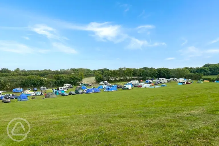 Camping field at Long Moor Farm with non electric and electric grass pitches