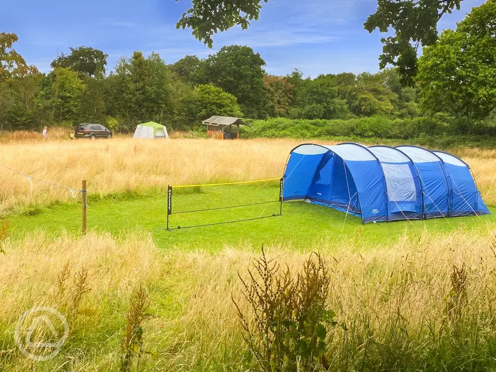 Non electric grass pitches 