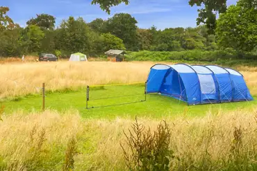 Non electric grass pitches 