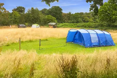 Willow Acres Campsite Willow Acres Campsite