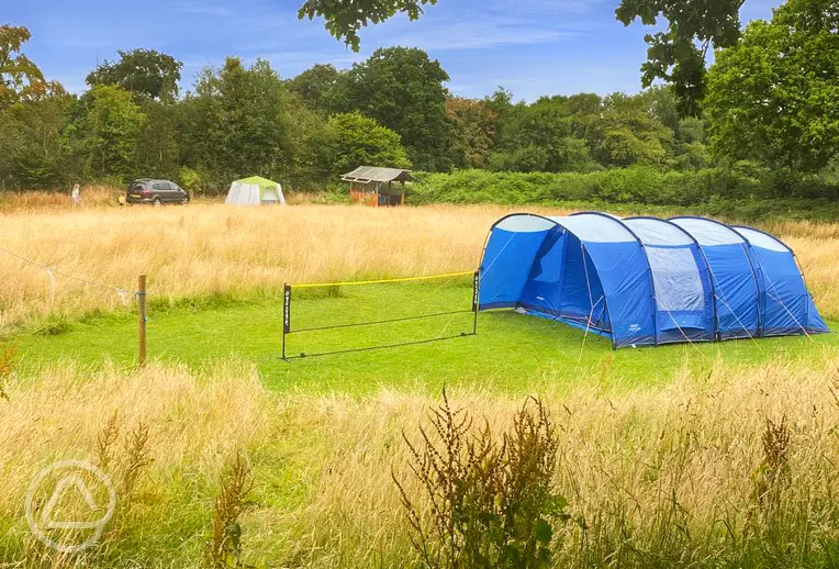Non electric grass pitches 