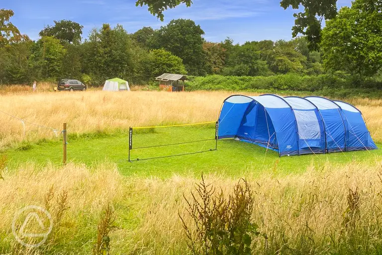 Non electric grass pitches 