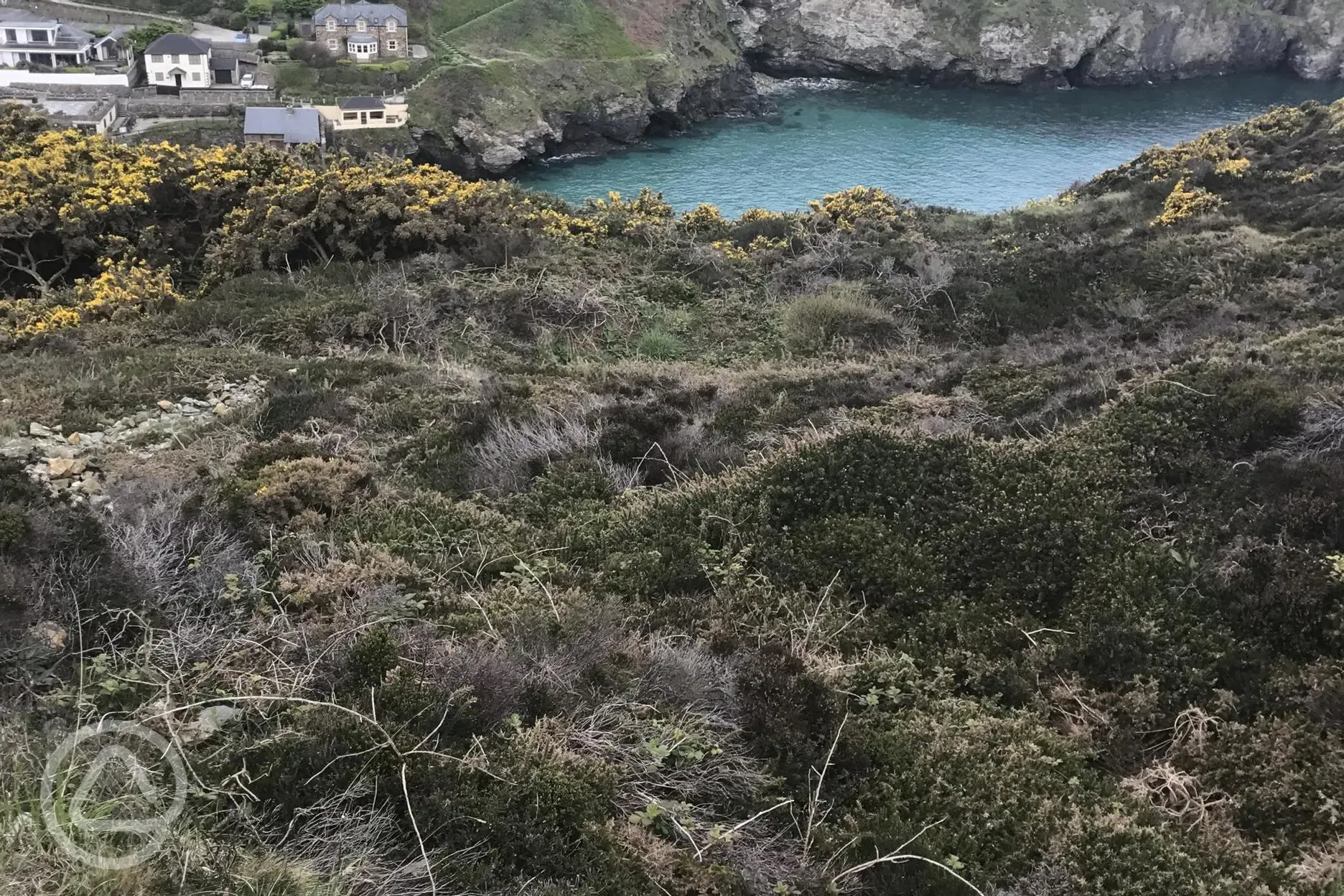 Trevaunance cove