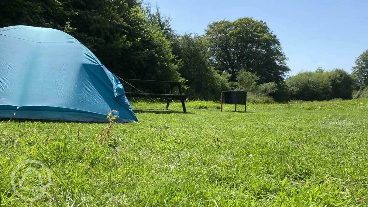 Tent in main field