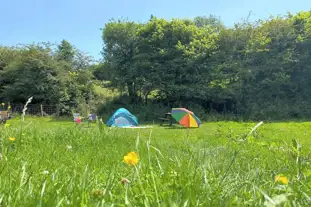 Camping Ty Du Farm, Llanelli, Carmarthenshire