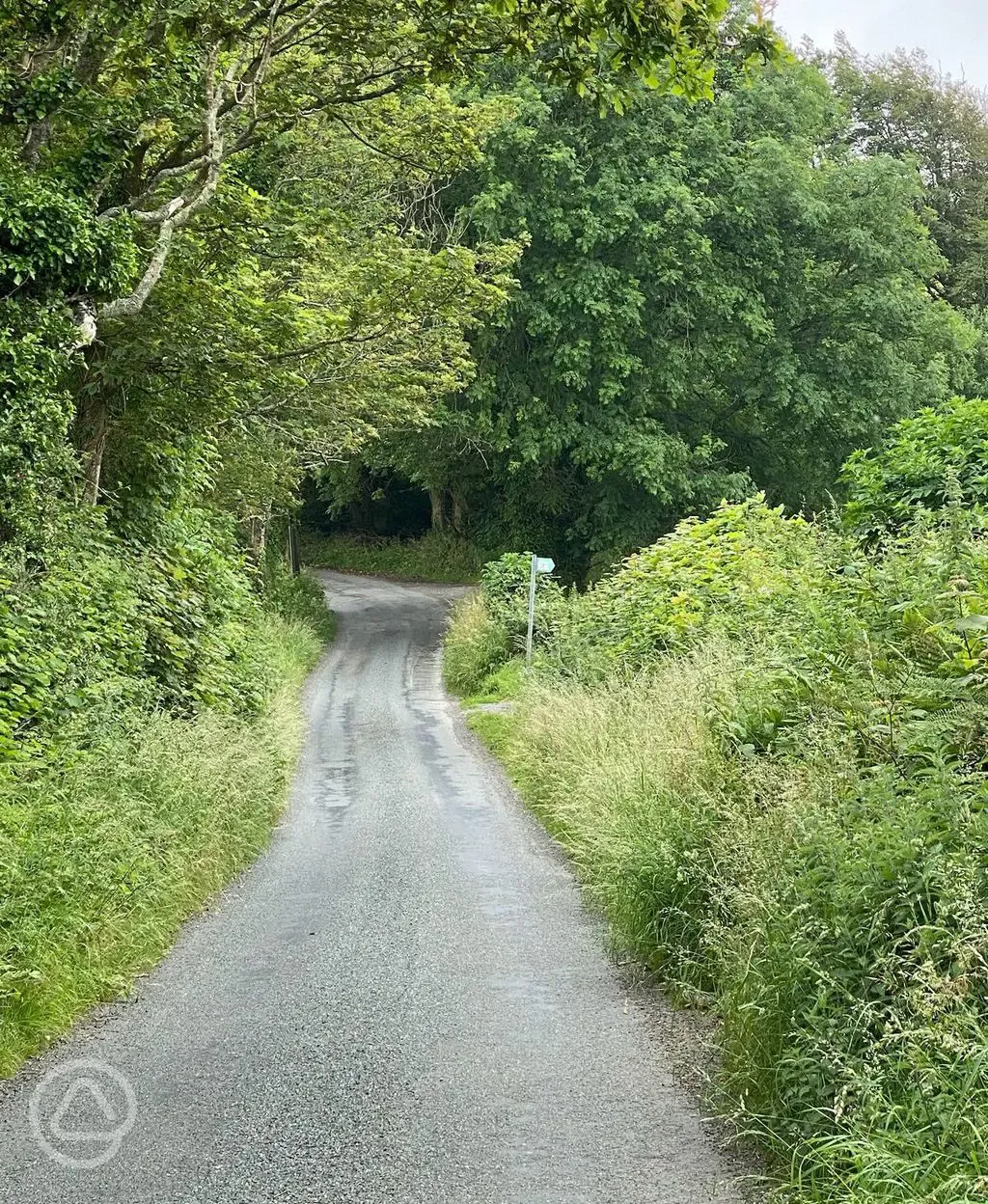 Path to the site