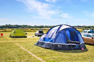 Camp Lion at Yorkshire Wildlife Park, Doncaster, South Yorkshire