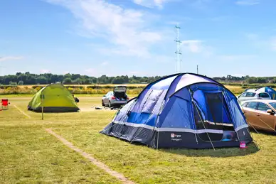 Camp Lion at Yorkshire Wildlife Park
