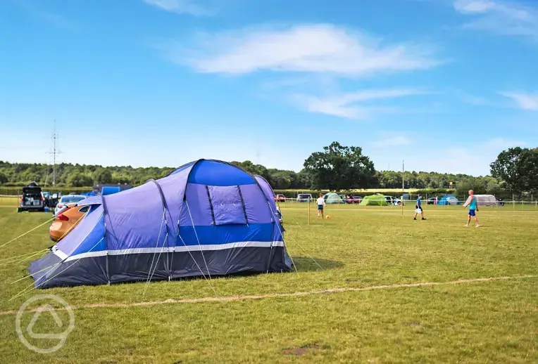 Non electric grass pitches