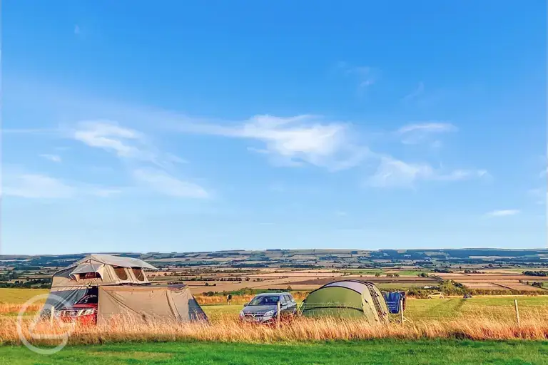 Grass pitches