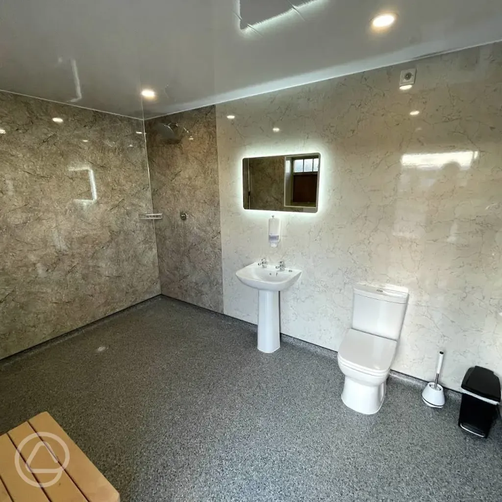 Toilet and shower