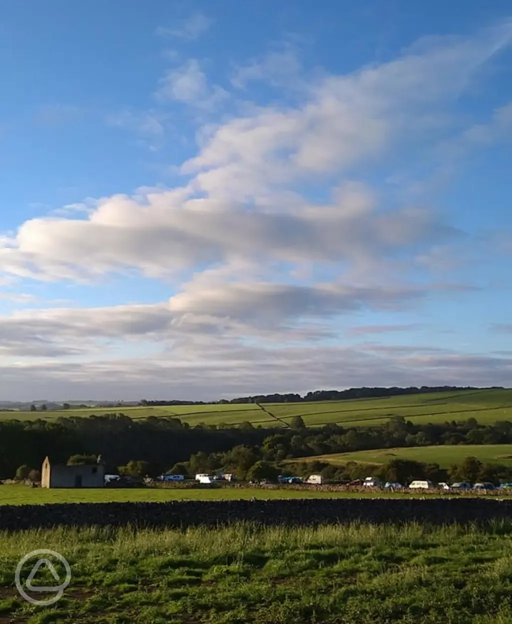 Views over the site