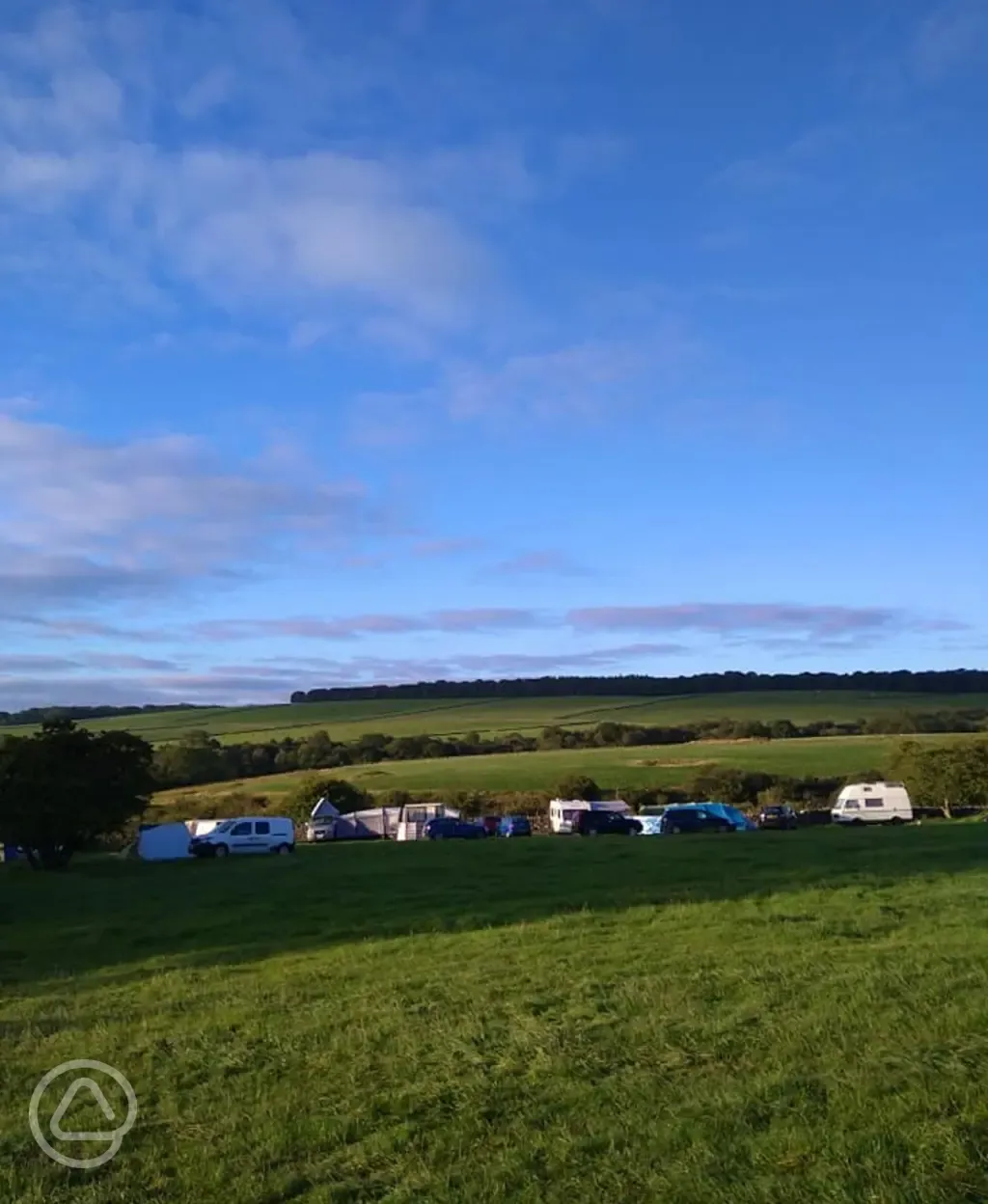 Views over the site