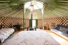 Sycamore Traditional Mongolian yurt beds (bedding provided) Sycamore Traditional Mongolian yurt beds (bedding provided)