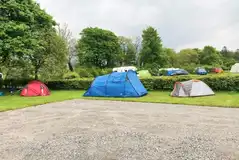 Non electric grass tent pitches measuring 6m by 6m for tents and trailer tents