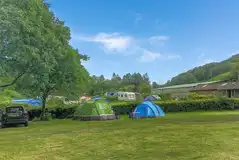 Non electric grass tent pitches at Whinfell Hall Farm Campsite