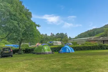 Non electric grass tent pitches at Whinfell Hall Farm Campsite