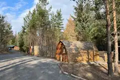 Wigwams set in the woodland