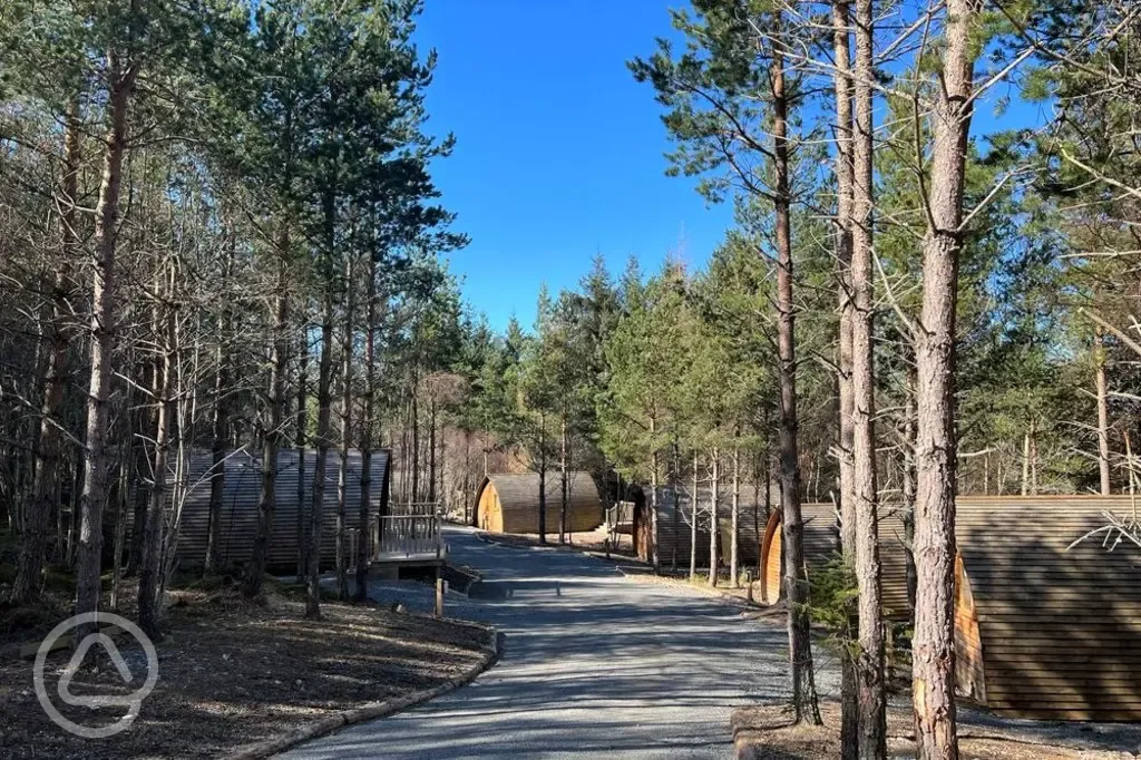 Wigwams set in the woodland