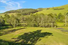 Grass pitches at Bonnie Park surrounded by trees