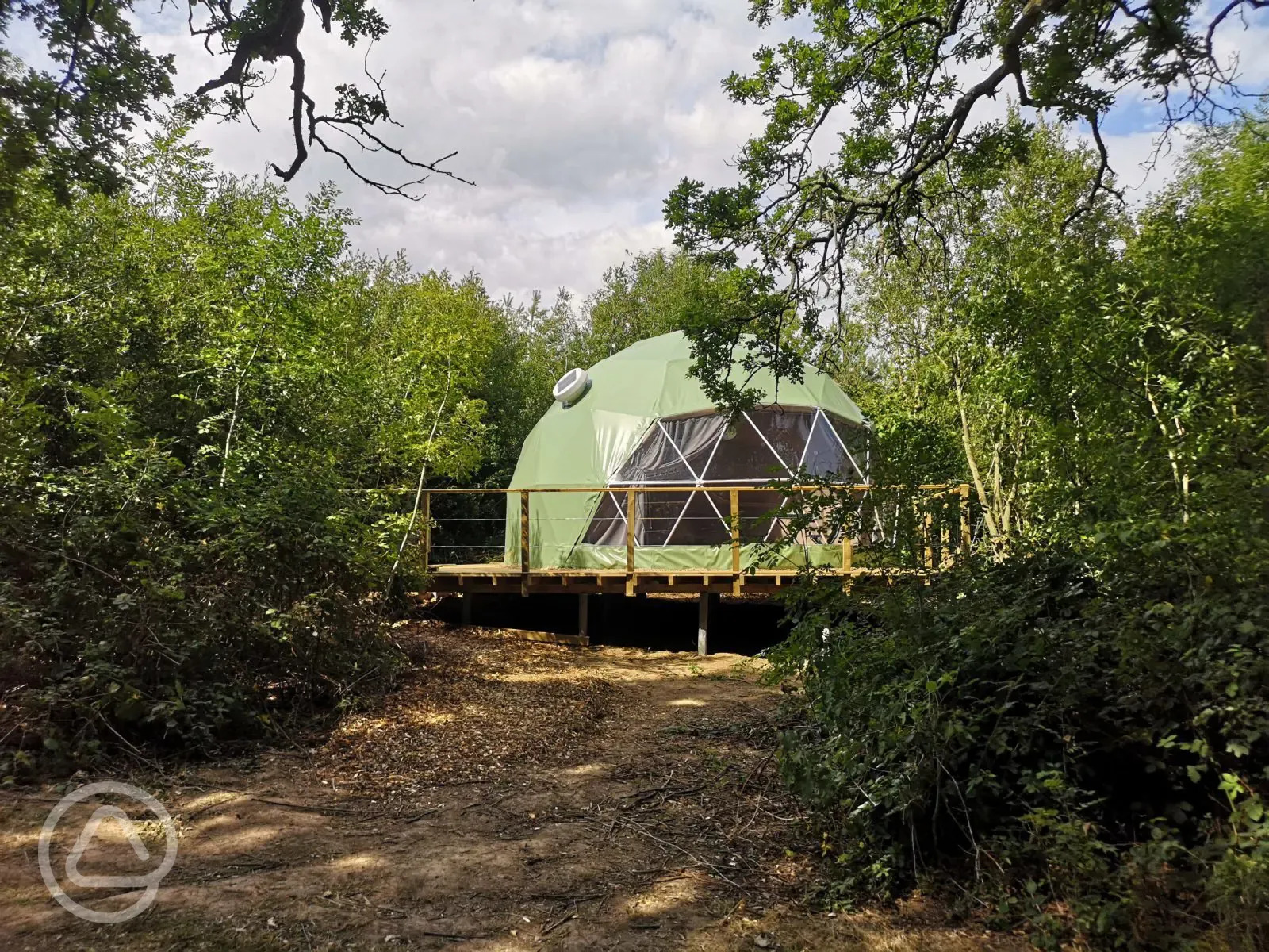 Oak Geodesic Dome