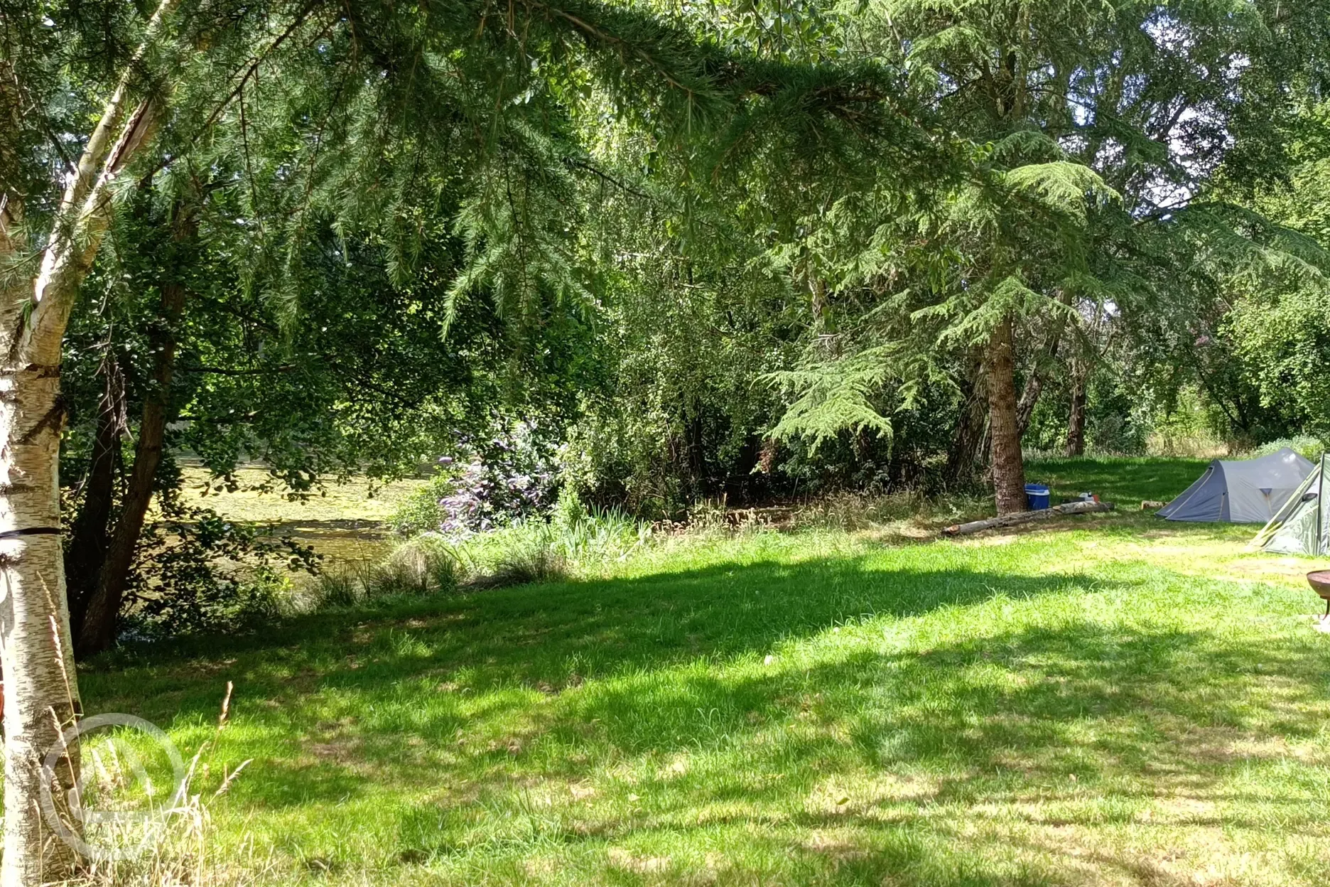 Non electric grass pitches by the pond