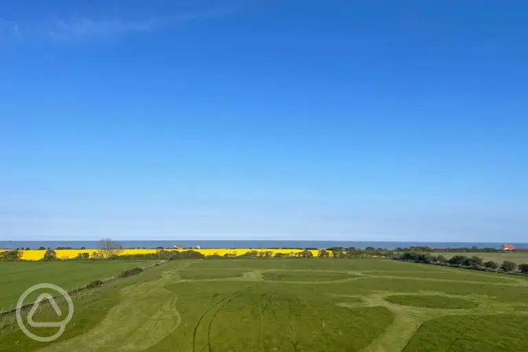 Camping meadow