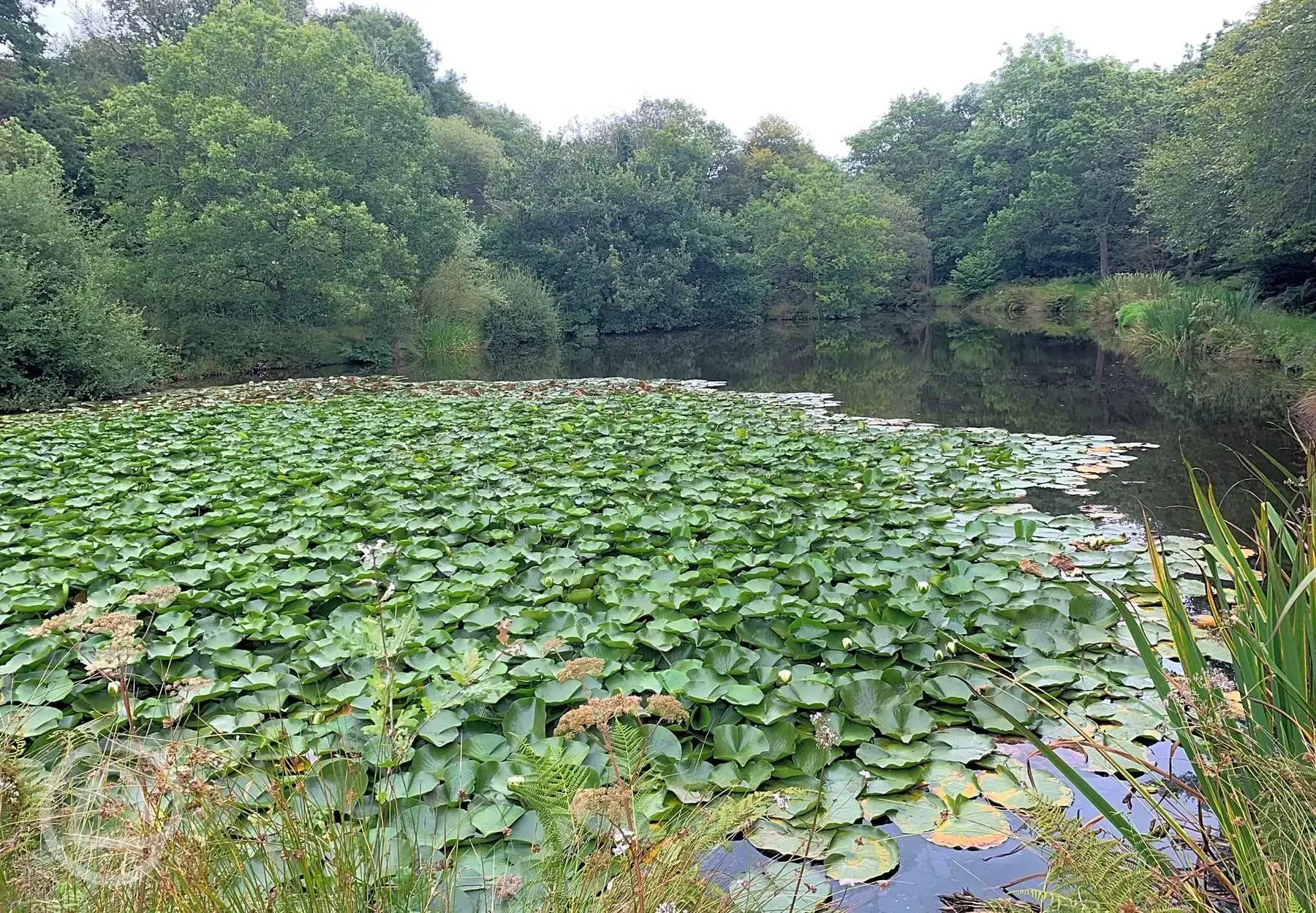 Fishing lake