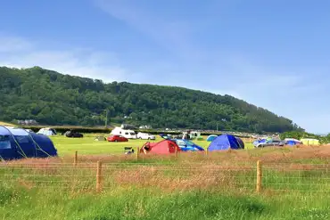Camping field with non electric grass pitches