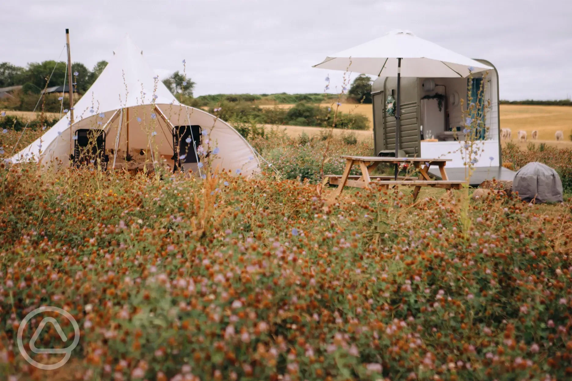 Bell tent