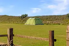 Non electric grass pitches and sea views